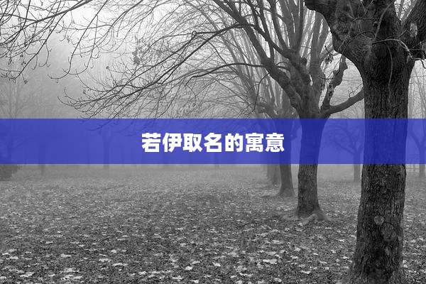 若伊取名的寓意