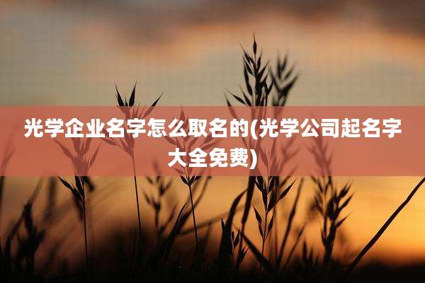 光学企业名字怎么取名的(光学公司起名字大全免费)