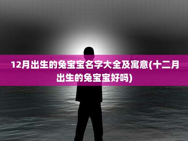 12月出生的兔宝宝名字大全及寓意(十二月出生的兔宝宝好吗)