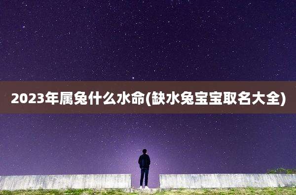 2023年属兔什么水命(缺水兔宝宝取名大全)
