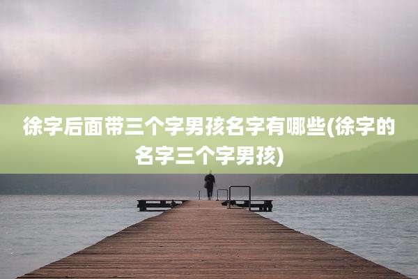 徐字后面带三个字男孩名字有哪些(徐字的名字三个字男孩)