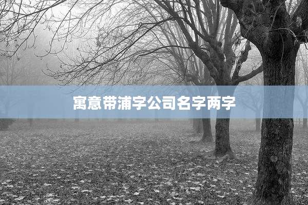 寓意带浦字公司名字两字