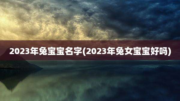 2023年兔宝宝名字(2023年兔女宝宝好吗)