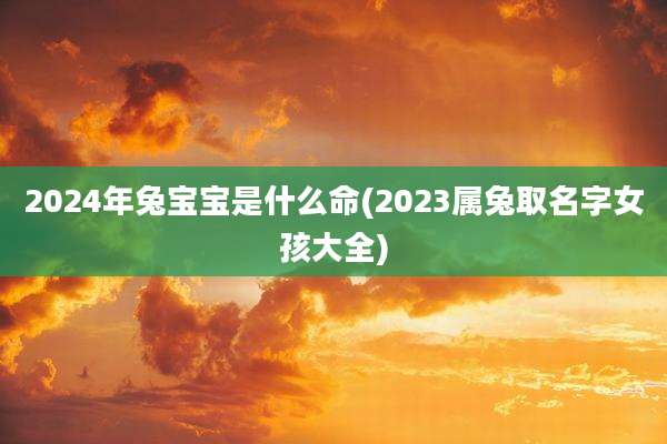 2024年兔宝宝是什么命(2023属兔取名字女孩大全)