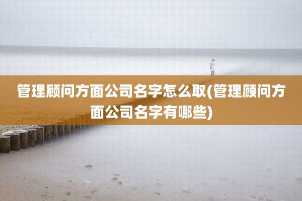 管理顾问方面公司名字怎么取(管理顾问方面公司名字有哪些)