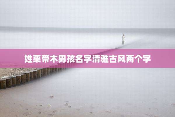 姓栗带木男孩名字清雅古风两个字