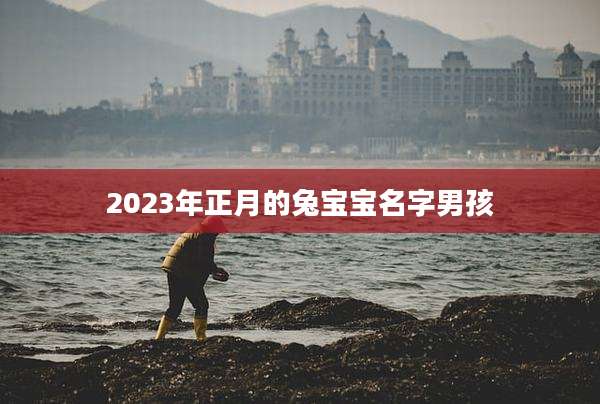 2023年正月的兔宝宝名字男孩