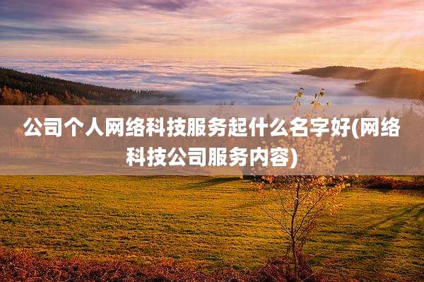 公司个人网络科技服务起什么名字好(网络科技公司服务内容)