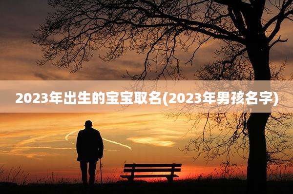 2023年出生的宝宝取名(2023年男孩名字)