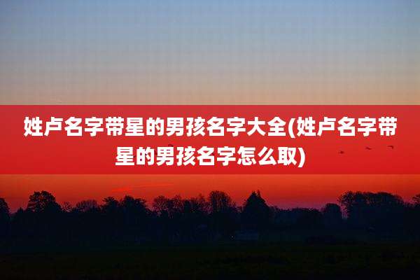 姓卢名字带星的男孩名字大全(姓卢名字带星的男孩名字怎么取)