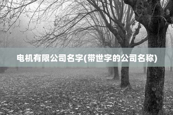 电机有限公司名字(带世字的公司名称)