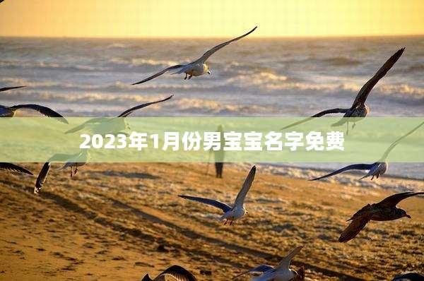 2023年1月份男宝宝名字免费