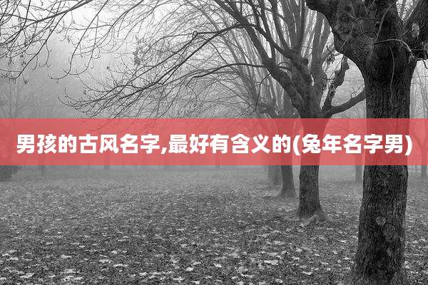 男孩的古风名字,最好有含义的(兔年名字男)