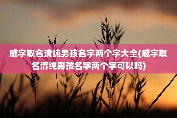威字取名清纯男孩名字两个字大全(威字取名清纯男孩名字两个字可以吗)