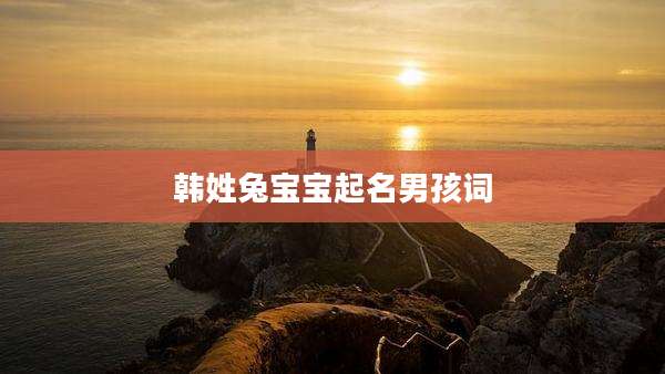 韩姓兔宝宝起名男孩词