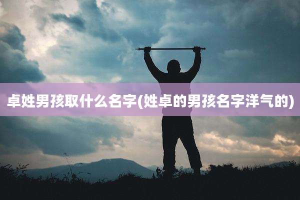 卓姓男孩取什么名字(姓卓的男孩名字洋气的)