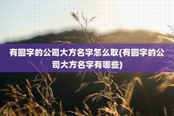 有圆字的公司大方名字怎么取(有圆字的公司大方名字有哪些)