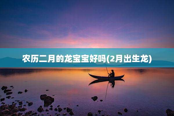 农历二月的龙宝宝好吗(2月出生龙)