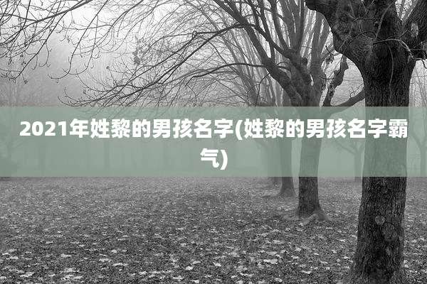 2021年姓黎的男孩名字(姓黎的男孩名字霸气)