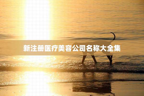 新注册医疗美容公司名称大全集