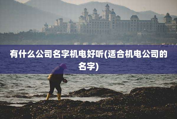 有什么公司名字机电好听(适合机电公司的名字)