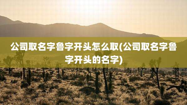 公司取名字鲁字开头怎么取(公司取名字鲁字开头的名字)