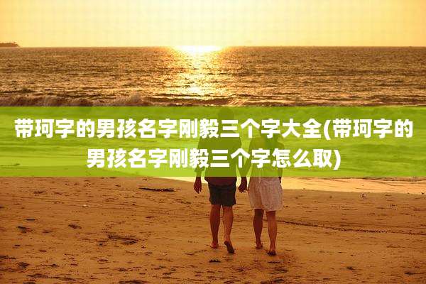 带珂字的男孩名字刚毅三个字大全(带珂字的男孩名字刚毅三个字怎么取)
