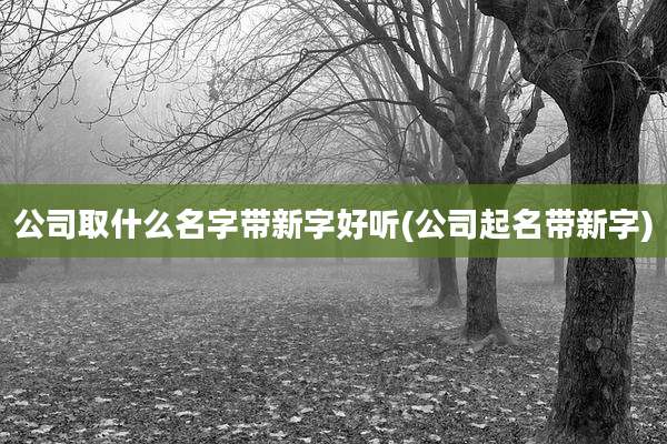 公司取什么名字带新字好听(公司起名带新字)