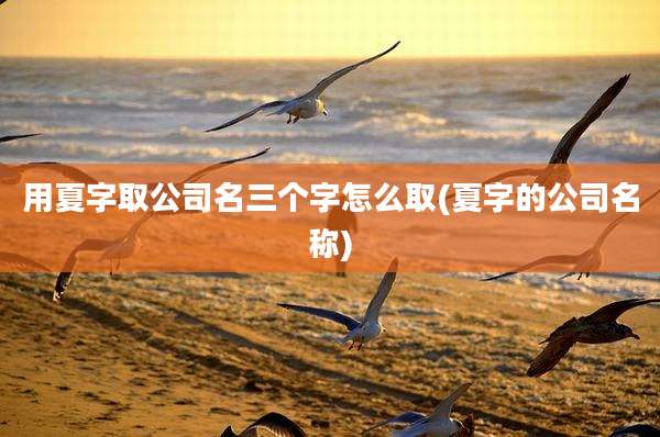 用夏字取公司名三个字怎么取(夏字的公司名称)