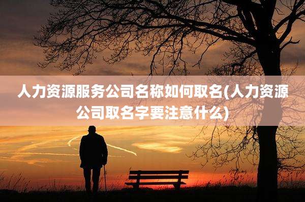 人力资源服务公司名称如何取名(人力资源公司取名字要注意什么)
