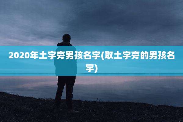 2020年土字旁男孩名字(取土字旁的男孩名字)