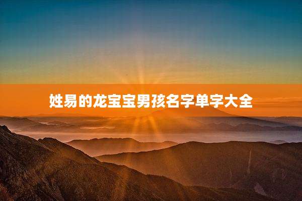 姓易的龙宝宝男孩名字单字大全