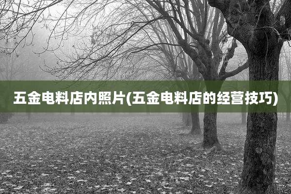 五金电料店内照片(五金电料店的经营技巧)