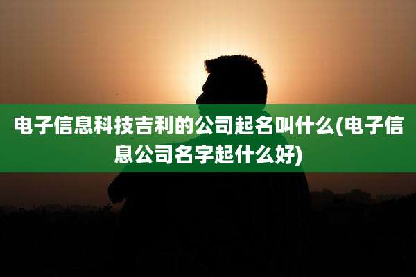 电子信息科技吉利的公司起名叫什么(电子信息公司名字起什么好)