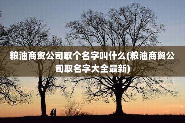 粮油商贸公司取个名字叫什么(粮油商贸公司取名字大全最新)