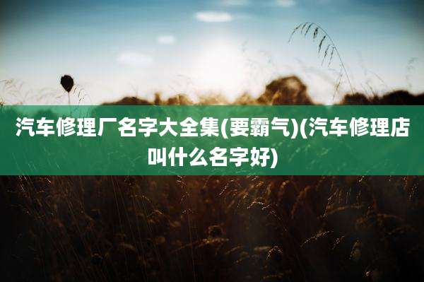 汽车修理厂名字大全集(要霸气)(汽车修理店叫什么名字好)