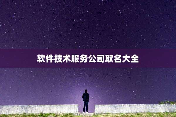 软件技术服务公司取名大全