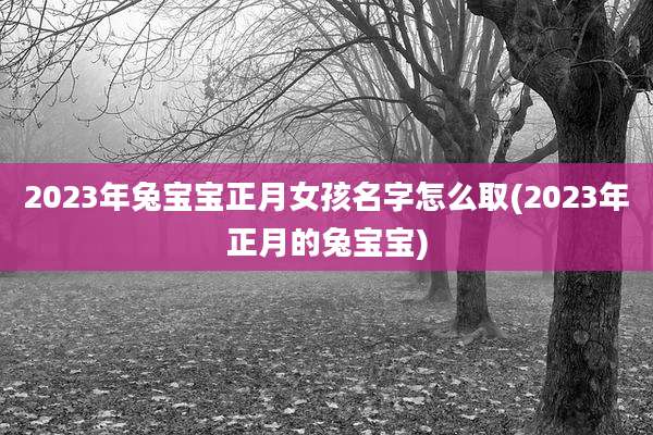 2023年兔宝宝正月女孩名字怎么取(2023年正月的兔宝宝)