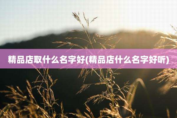 精品店取什么名字好(精品店什么名字好听)