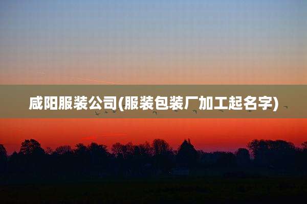 咸阳服装公司(服装包装厂加工起名字)