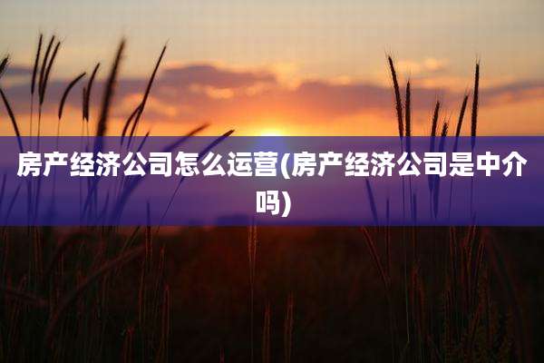 房产经济公司怎么运营(房产经济公司是中介吗)