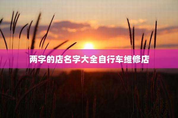 两字的店名字大全自行车维修店