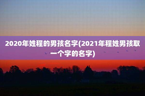 2020年姓程的男孩名字(2021年程姓男孩取一个字的名字)