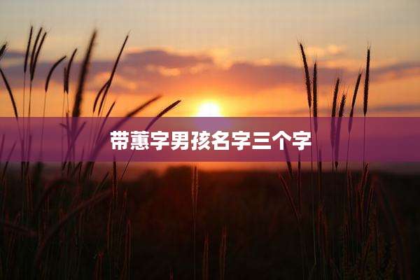 带蕙字男孩名字三个字