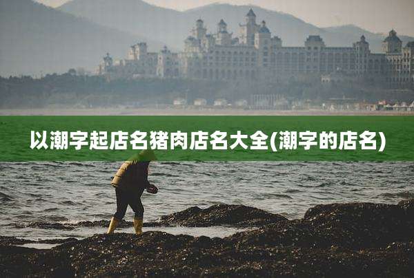以潮字起店名猪肉店名大全(潮字的店名)