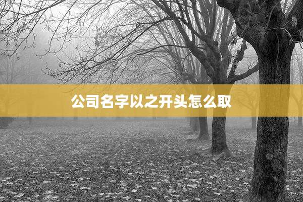 公司名字以之开头怎么取