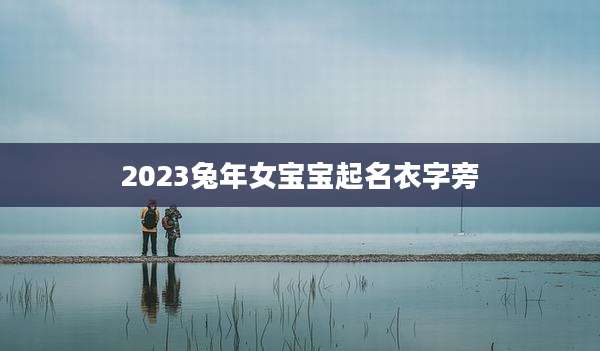 2023兔年女宝宝起名衣字旁