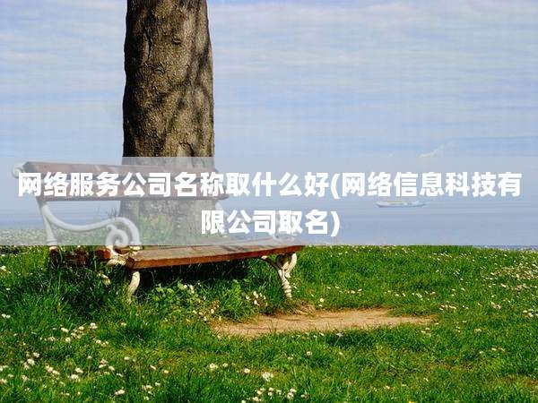 网络服务公司名称取什么好(网络信息科技有限公司取名)