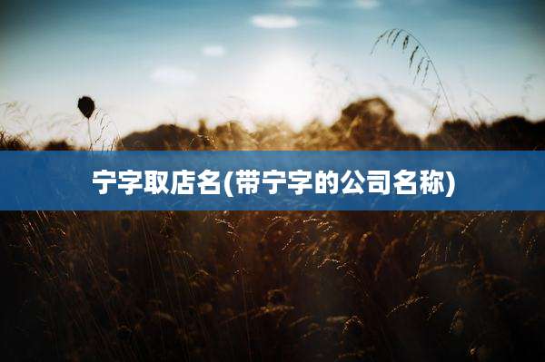 宁字取店名(带宁字的公司名称)