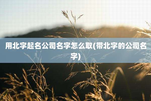 用北字起名公司名字怎么取(带北字的公司名字)